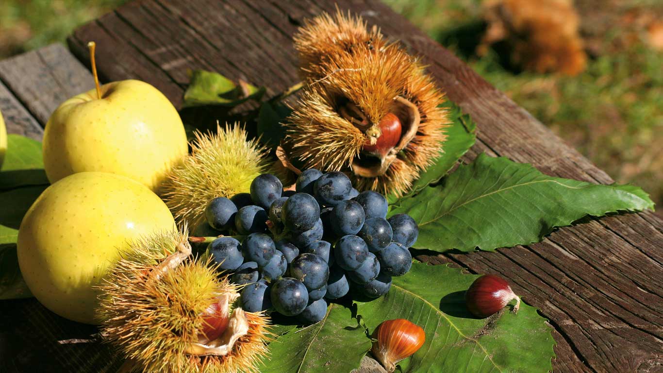 Herbst